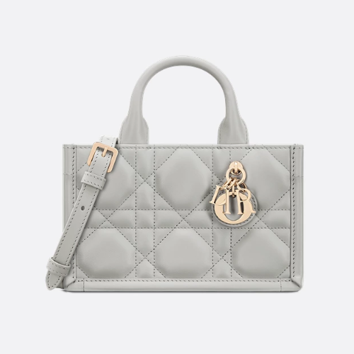 디올 Book Tote 미니 백 S5573OWHP_M51G
