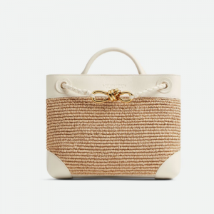 보테가 베네타 BOTTEGA VENETA 스몰 안디아모 827478V5GX19293